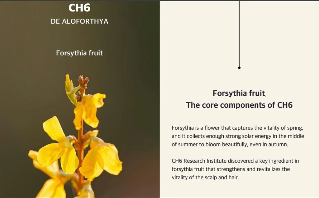 Wasfa Kalwanji Shampoo